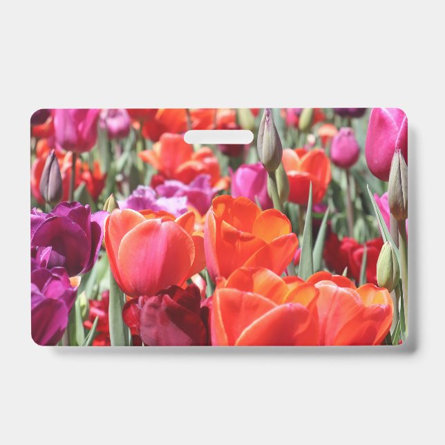Warme Tulips Ausweis (Vorderseite)
