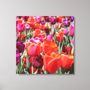 Warme Tulips Leinwanddruck