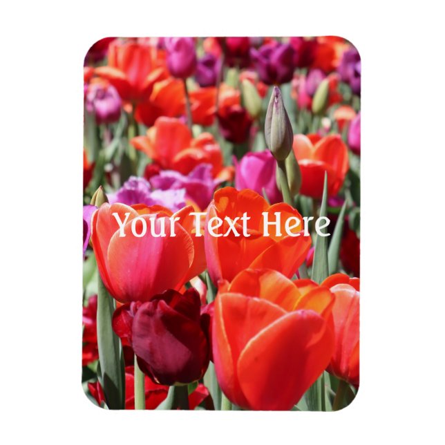 Warme Tulips Magnet (Vertikal)