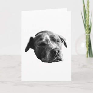 Warme Worte, sanfter Schatten Karte