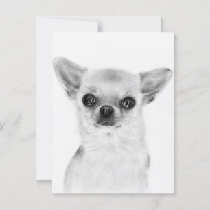 Warmer Blick - Handgemalte Chihuahua-Kunstwerke Postkarte