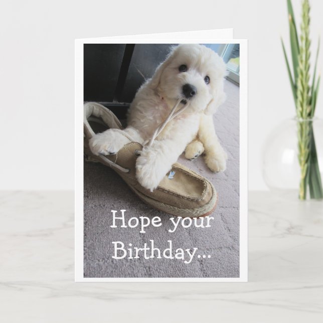 Warmer Fuzzy Geburtstag, Niedlicher Goldendoodle-S Karte (Vorderseite)