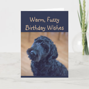 Warmer, schwammiger Geburtstag wünscht Niedlichen Karte
