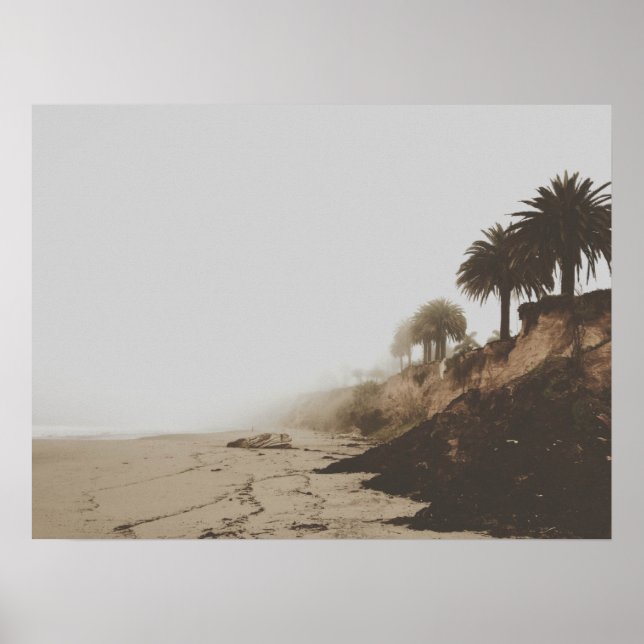 Warmer Strand mit gepflegtem Foggy mit Palmen Poster (Vorne)