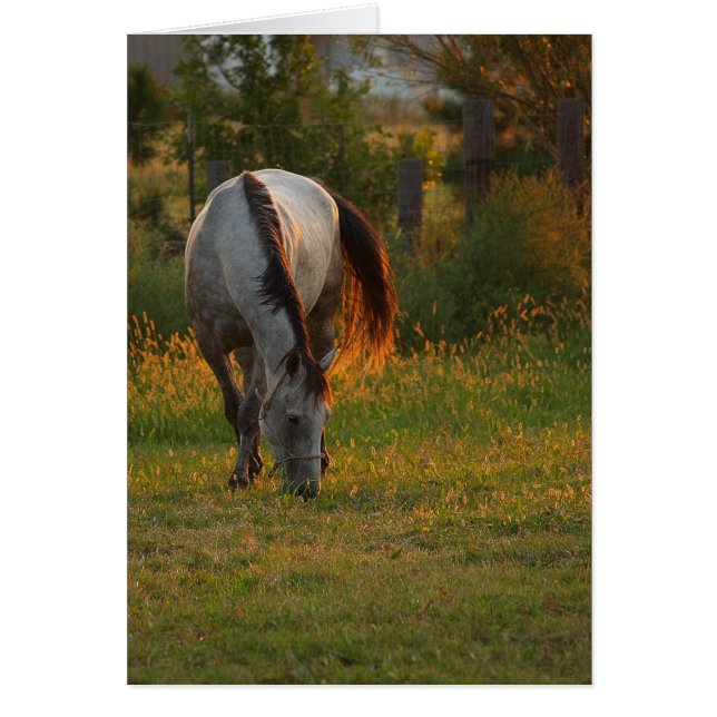 Warmes Licht (Vorne)