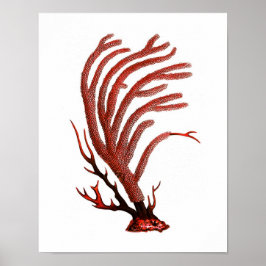 Warmes Rotes Meer Korallenriff nr.2 Strandwall Art Poster