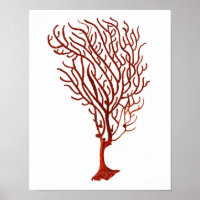 Warmes Rotes Meer Korallenriff nr.5 Strandwall Art