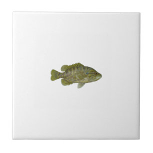 Warmouth Baß Fliese