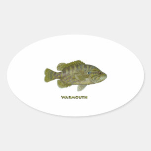 Warmouth Bass Ovaler Aufkleber