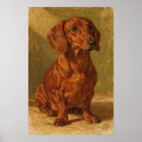 Warmr Ochre-Dachshund-Porträt