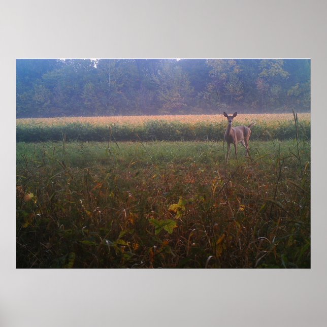 Warndoster Poster (Vorne)