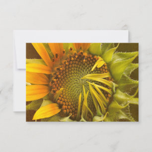 Warnhinweis für Sonnenblumen RSVP Karte
