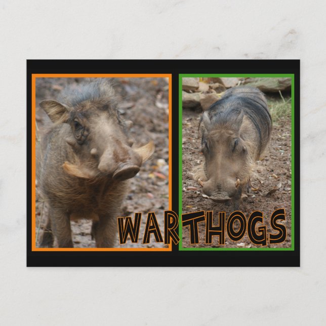 WARNHINWEISE - WILDE TIERE POSTKARTE (Vorderseite)
