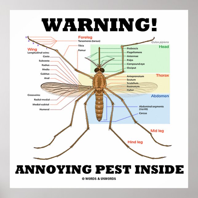 Warnung! Annoying Pest Inside (Moskito-Anatomie) Poster (Vorne)