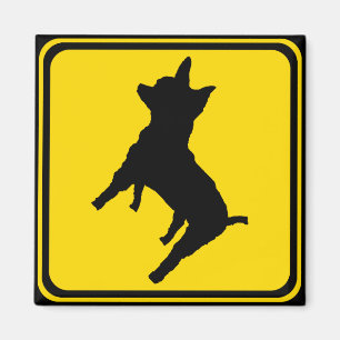Warnung - Chihuahua Xing! Magnet