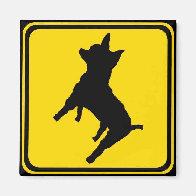 Warnung - Chihuahua Xing! Magnet (Vorne)