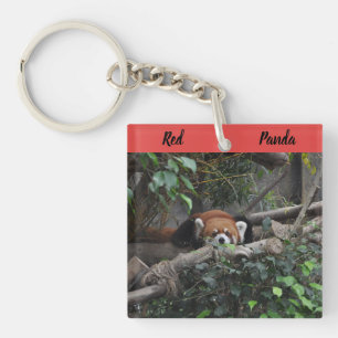 Warnung Red Panda in einem Zoo Schlüsselanhänger