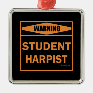 Warnung! Student Harpist! Silbernes Ornament