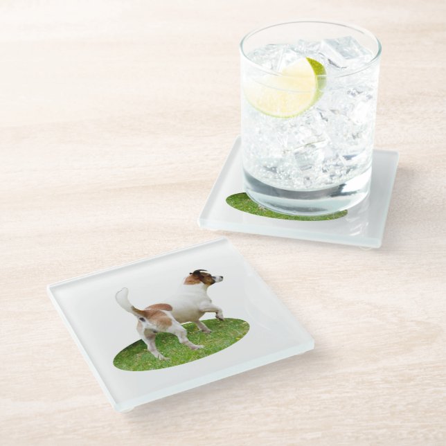 "Warnung und Bereit: Ein brauner und weißer Fox-Te Glasuntersetzer (Schrägansicht)