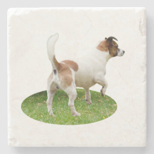 "Warnung und Bereit: Ein brauner und weißer Fox-Te Steinuntersetzer