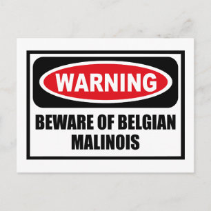 Warnung vor der BELGISCHEN MALINOIS Postkarte