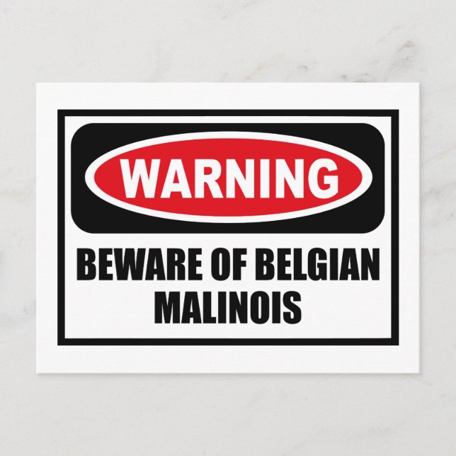 Warnung vor der BELGISCHEN MALINOIS Postkarte (Vorderseite)