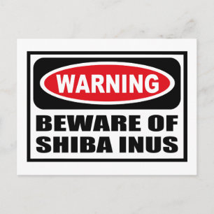 Warnung vor SHIBA INUS Postkarte
