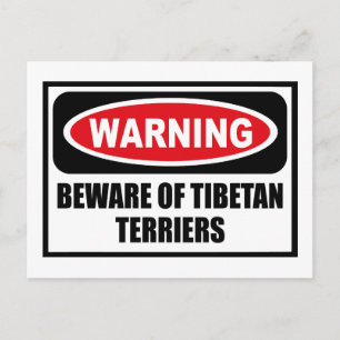 Warnung vor TIBETAN TERRIERS Postkarte