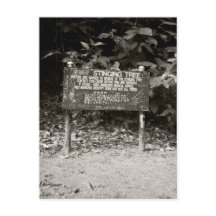 Warnzeichen für die Stielbaum