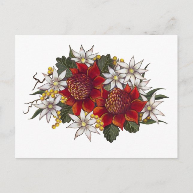 Warratha Flannel Blume Postkarte (Vorderseite)