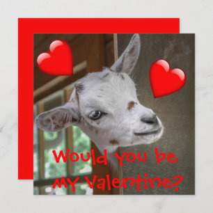 Wärst du mein Valentin? Goat Funny Card