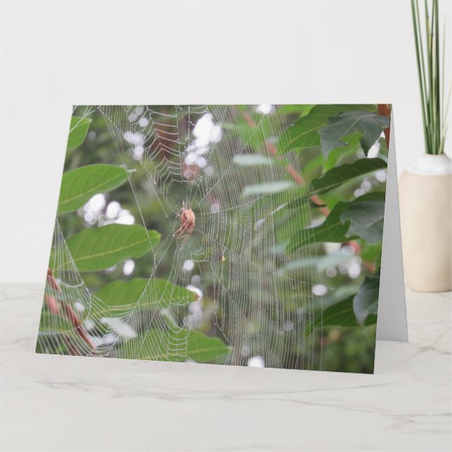 Wart Spider Karte (Vorderseite)