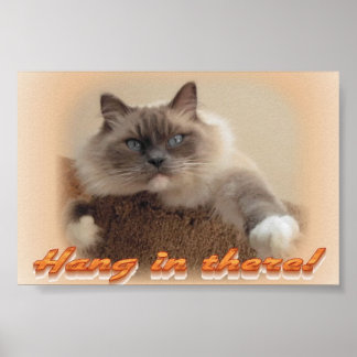 Warte da rein! poster