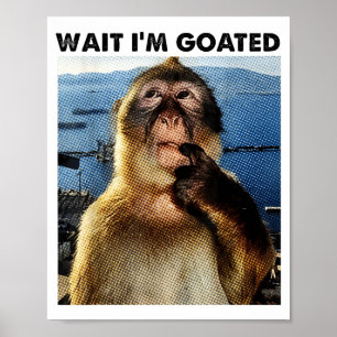 Warte, ich bin Goated Y2k lustiger denkender Affe Poster