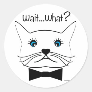 Warte mal...Was? Mit Augen Katze, Cool Runder Aufkleber