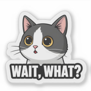 Warte, Was? Meme-Katze Lustige Katzenreaktion Aufkleber