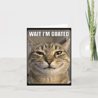 Warte Ziege Katze Lustig Alberne Starrende Katze L Karte