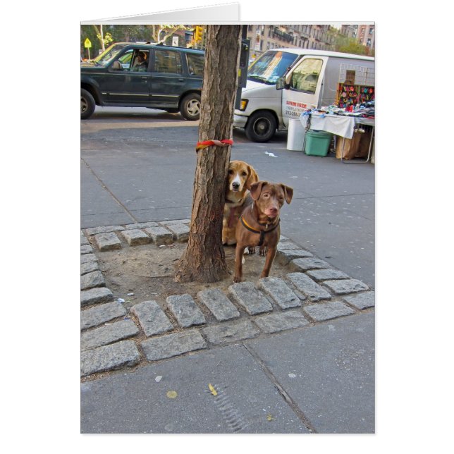 Warten ... 12x18 (Vorne)