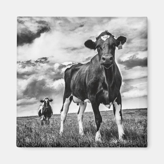 Warten BW Crop Magnet (Vorne)