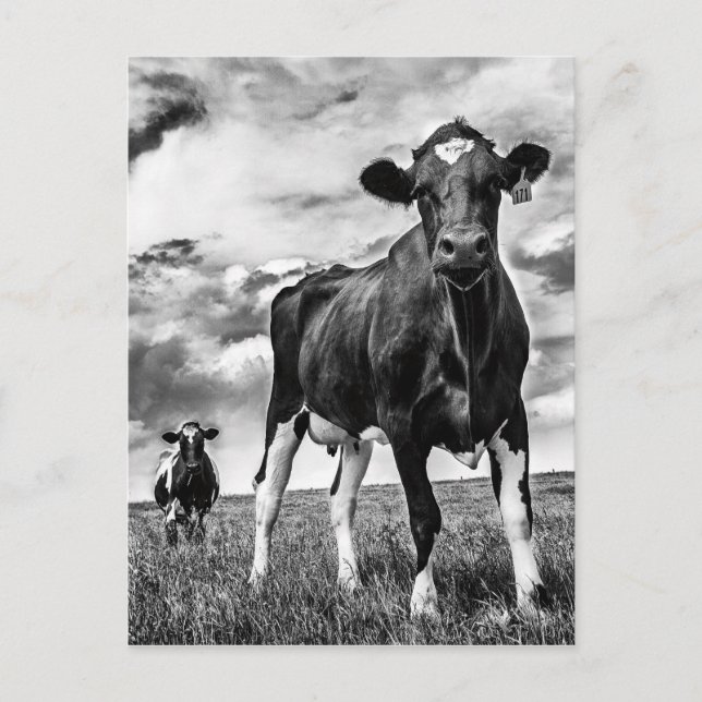 Warten BW Crop Postkarte (Vorderseite)