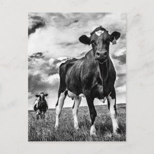 Warten BW Crop Postkarte