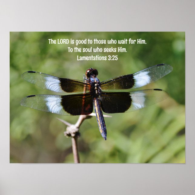 Warten Dragonfly Naturelebibel Verse Poster (Vorne)
