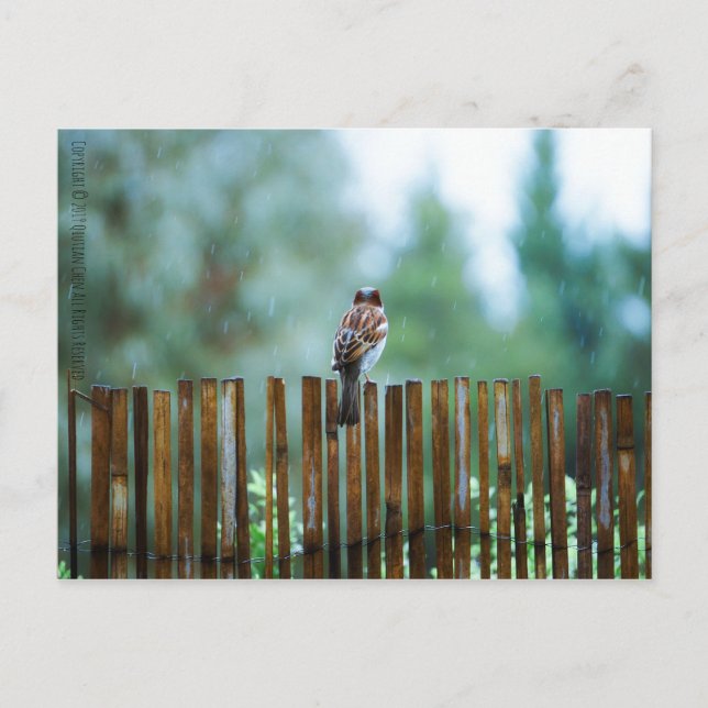 Warten_light Postkarte (Vorderseite)