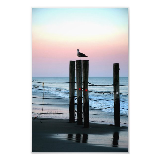 Warten on Sunset Fotodruck (Vorne)