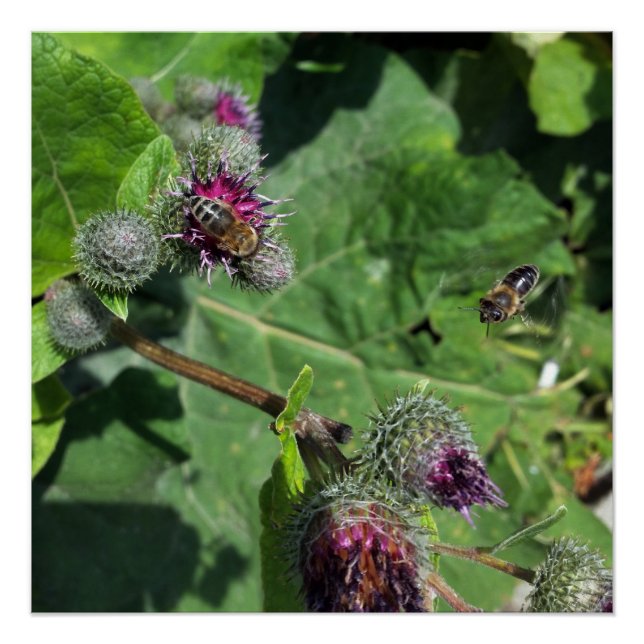 warten poster (Vorderseite)