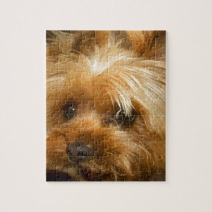 Warten Sie Mamma-Liebe haley Hundyorkie Terrier Puzzle