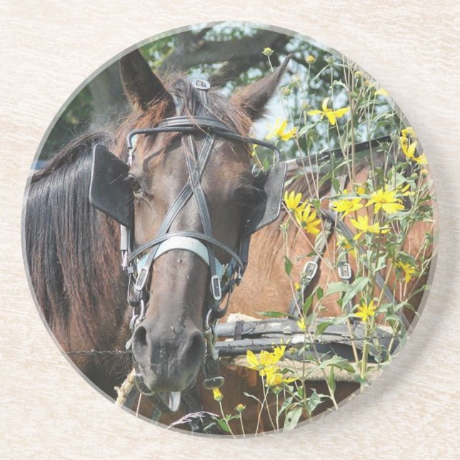 Wartend Ameise Getränkeuntersetzer (Vorne)