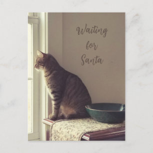 Wartende Santa Tabby Katze Fenster Postkarte