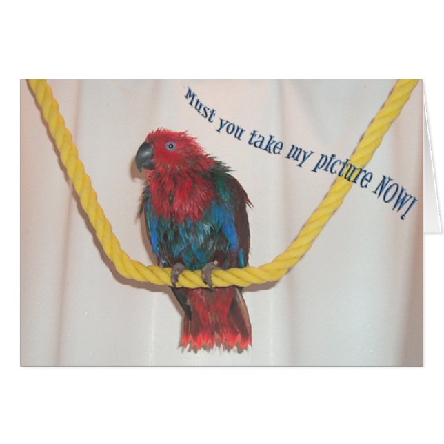 Wärter (Vorderseite (Horizontal))