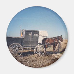 Wartete amisches Pferd und Buggy Magnet
